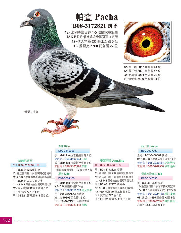 强豪名家 吉诺.克里克 — 116赛鸽网