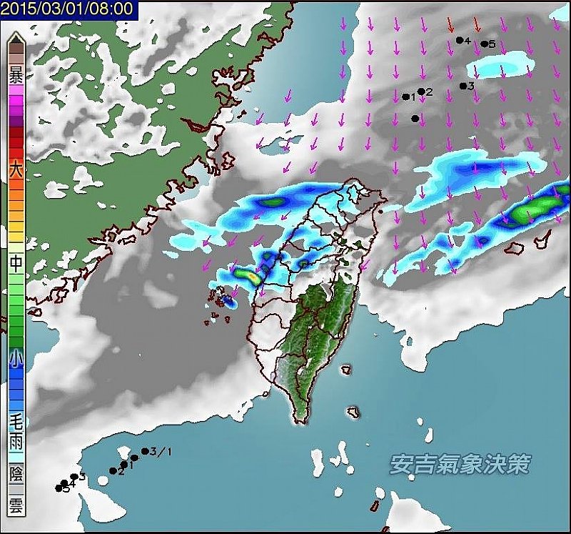 116赛鸽网