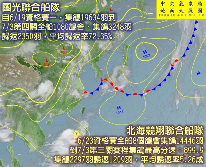 116賽鴿網