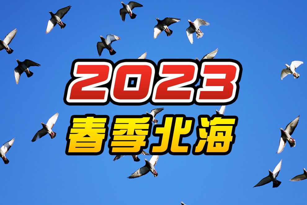 ​2023年台湾春季北海赛事於04/02(日)开始会训